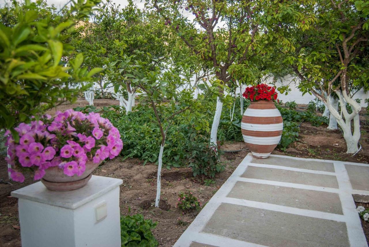 Perivoli 3-Chora Apartment Agkidia Bagian luar foto