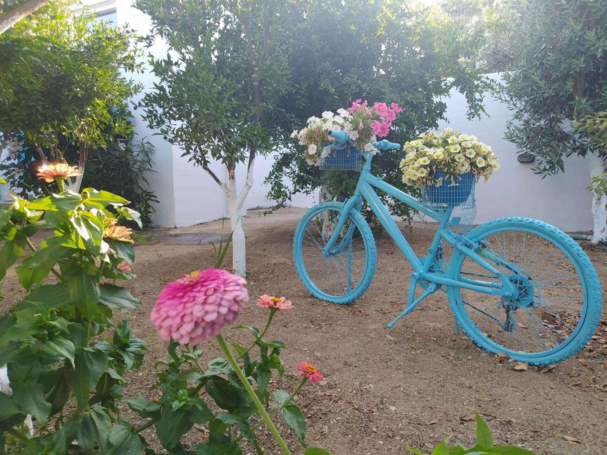 Perivoli 3-Chora Apartment Agkidia Bagian luar foto