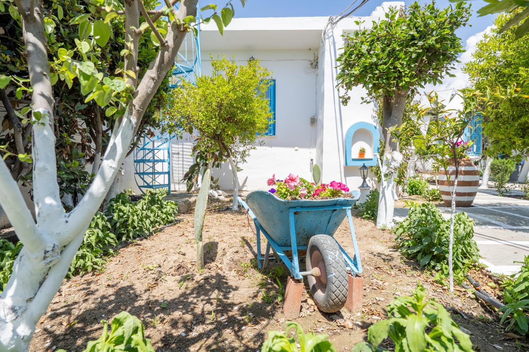 Perivoli 3-Chora Apartment Agkidia Bagian luar foto